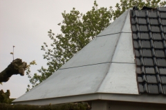kappal_boskant_009